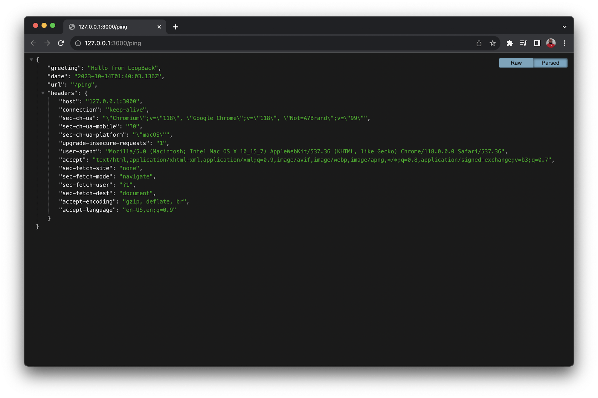 Default Loopback ping page