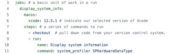 macOS Executor情報を出力