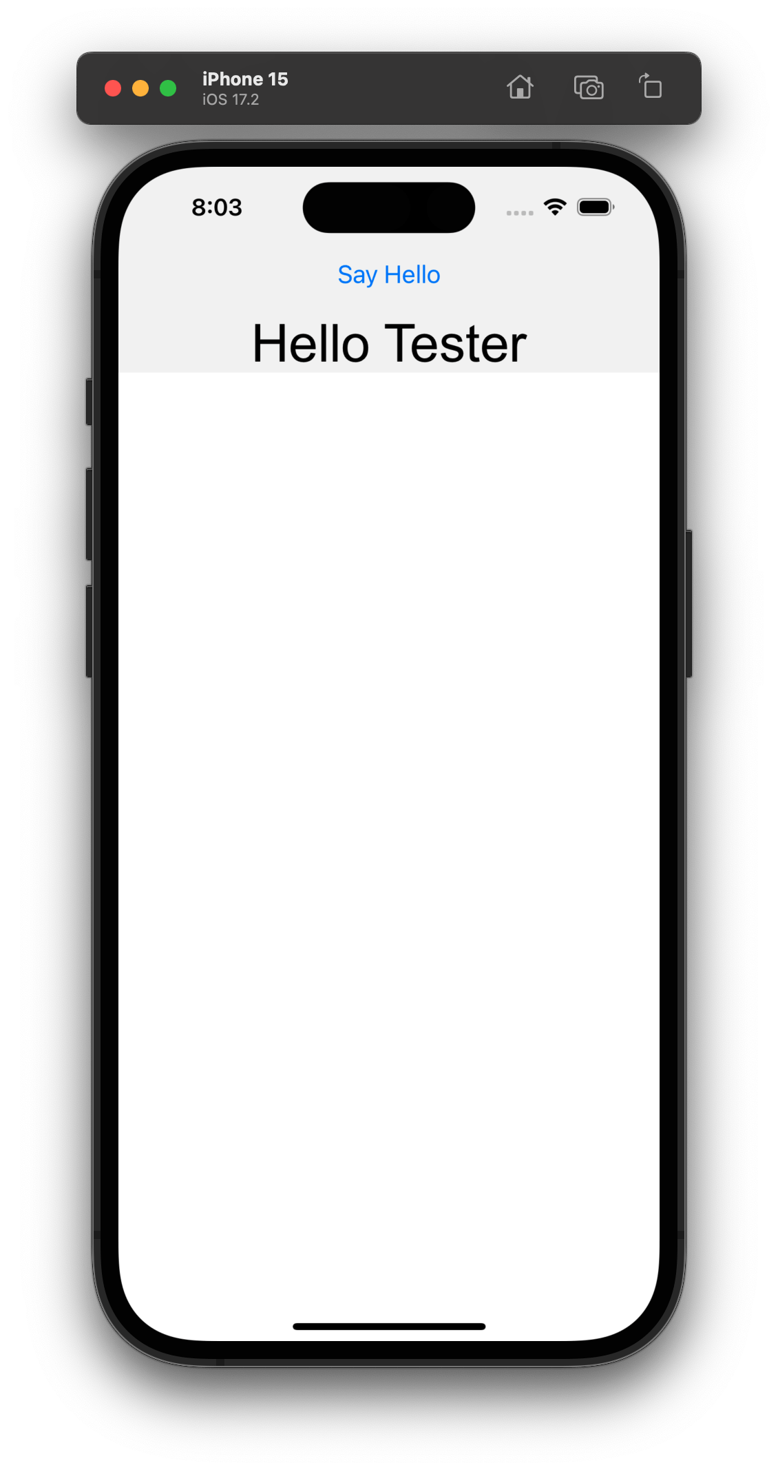 App running - Emulator