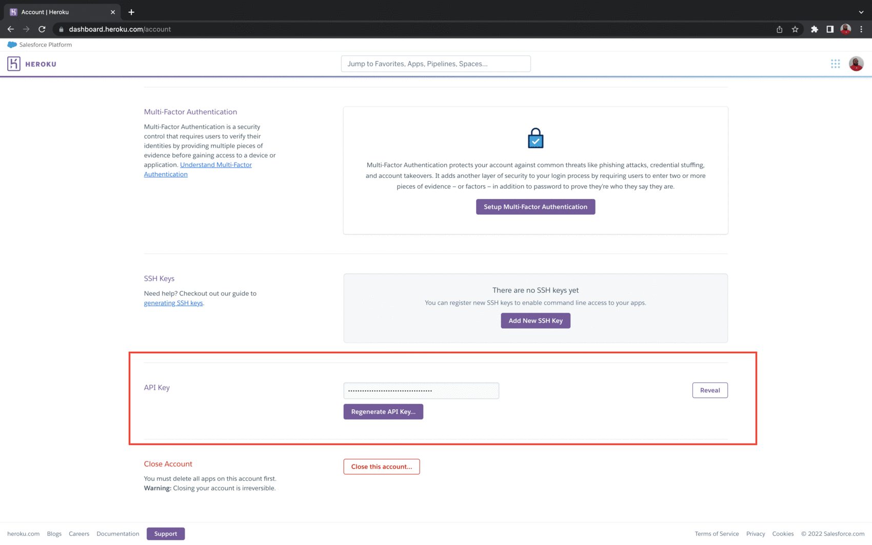 Reveal API Key section of Account Settings
