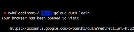 Google Cloud authentication