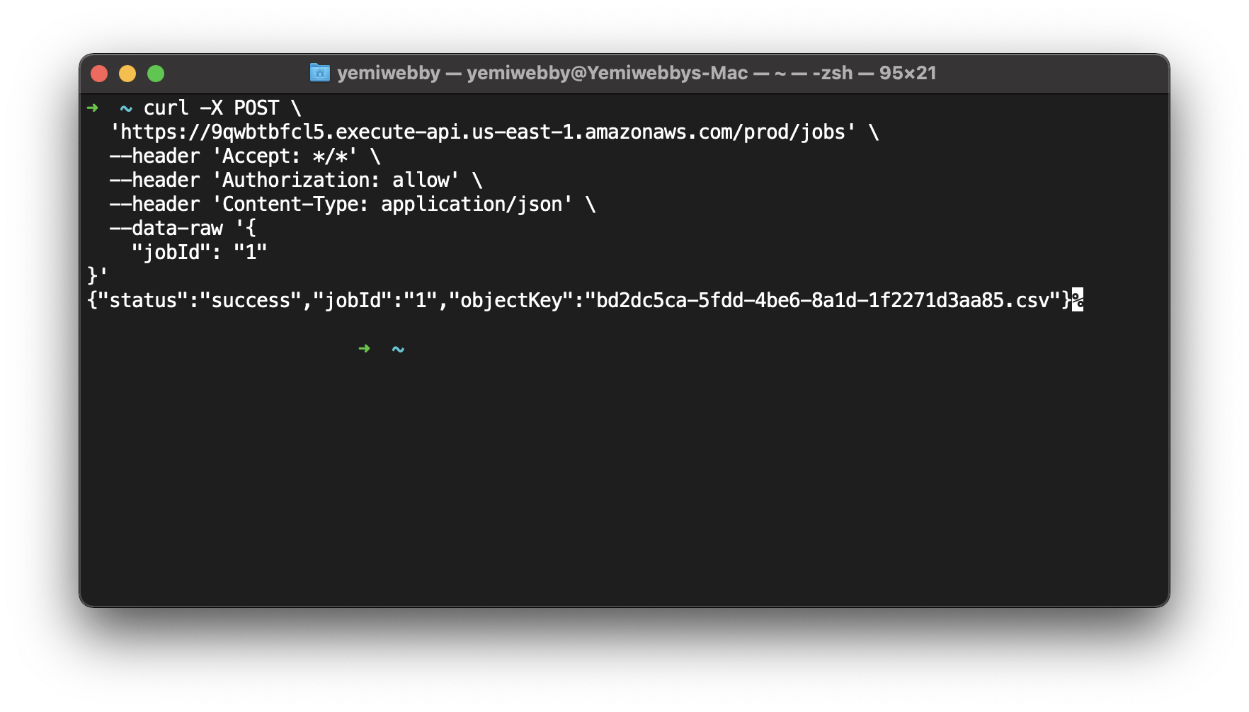 API success response